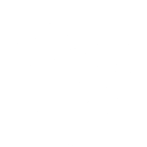 Image Icon